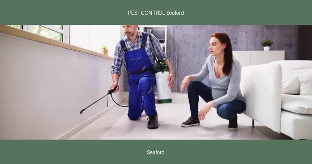 PEST CONTROL Seaford